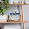 mothers day gifts-Desktop Glass Planter Bulb Plant Terrarium with Wooden Stand