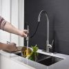 Kitchen Faucet with Pull Out Spraye