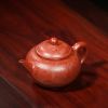 Gift From Forbidden City Zisha Teapot Set Xishi Style