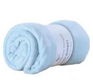 Coral Velvet Leg Nap Pet Blanket (Option: Cyan-70cmx 100cm)